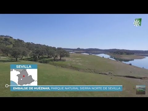 Caminatas Urbanas en Istán: Mejores Rutas y Sugerencias