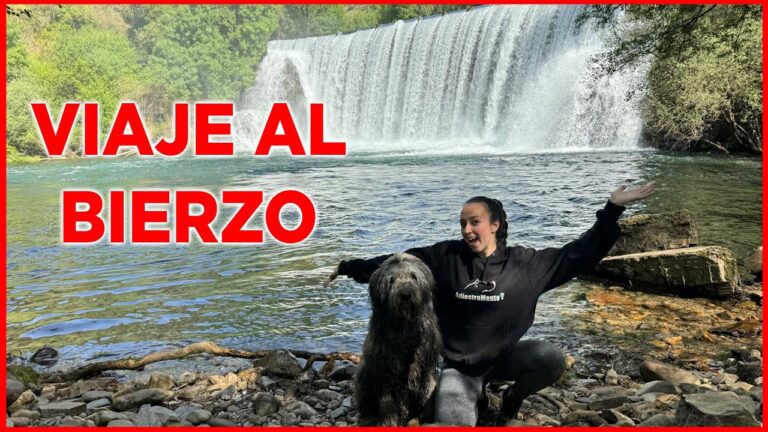 Senderismo con Perros en Estepona: Mejores Rutas y Consejos