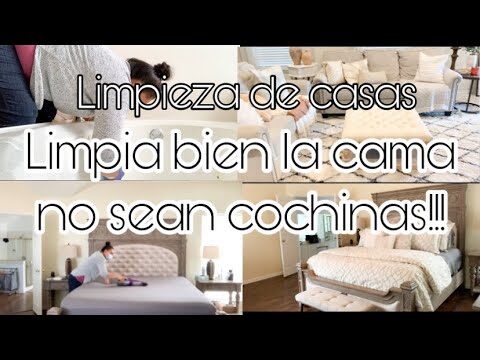 Guía de Compra de Productos de Limpieza Ecológicos en Marbella
