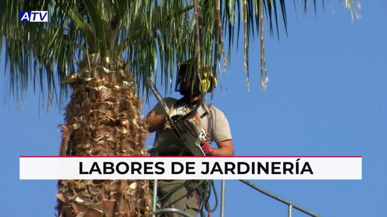 Asociaciones de Jardiner&iacute;a en Fuengirola: D&oacute;nde Encontrarlas