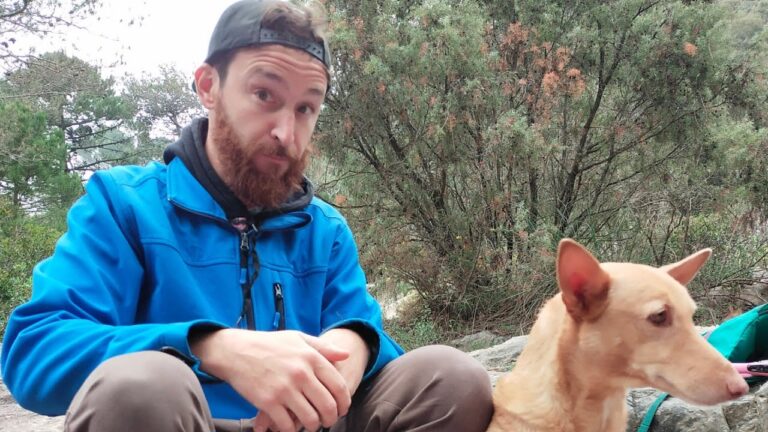 Senderismo con Perros en Ojén: Mejores Rutas y Consejos